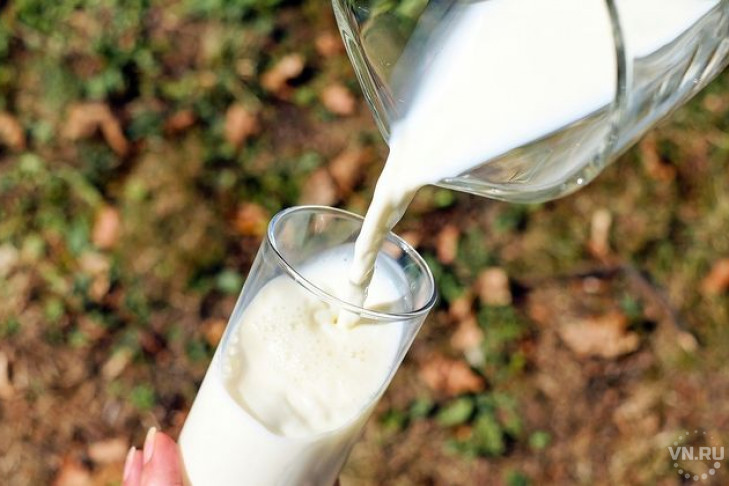 Новый рекорд по производству молока установлен в Новосибирской области