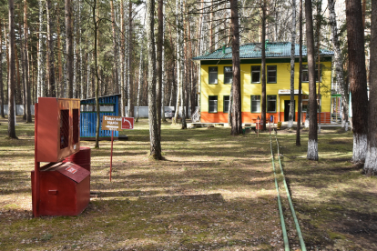 В Новосибирской области за два года создано более 600 новых мест детского отдыха