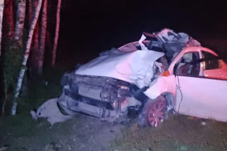 Водитель под Новосибирском сбил лося и умер