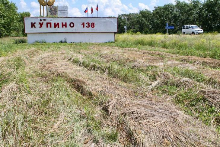 Саженцы на аллее Победы скосили на корм скоту в Купино