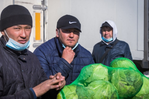 Пятнадцать мигрантов выдворят с территории РФ после рейда в Новосибирске