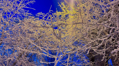 На выходных в Новосибирске ожидаются морозы до -25 градусов