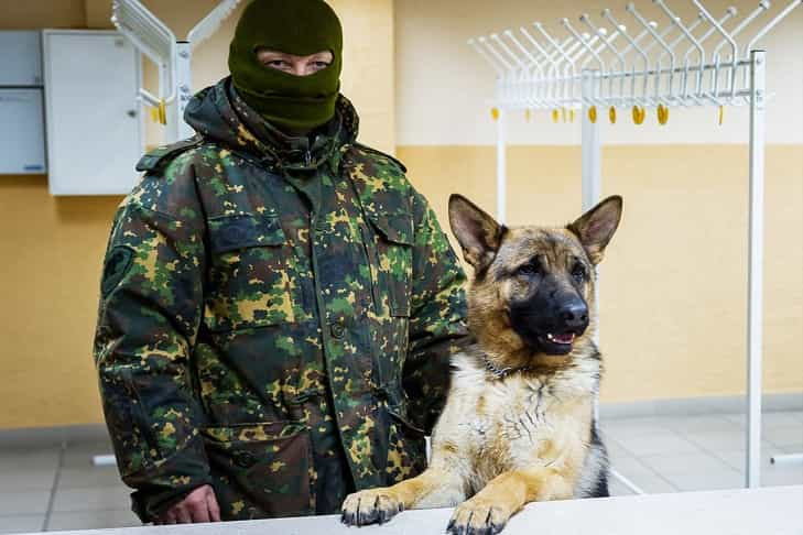 В Новосибирске самодельную бомбу у военкомата отправили на экспертизу