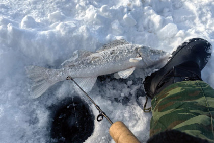 Мэрия Новосибирска: рыбалка строго запрещена из-за сбросов воды ГЭС