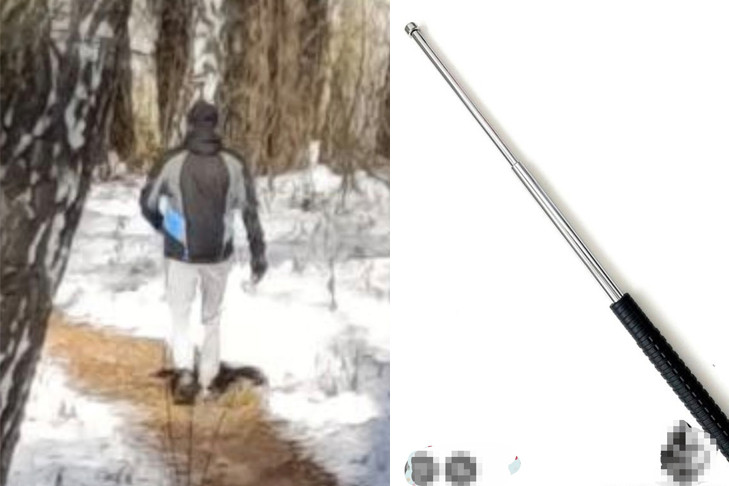 Новосибирец с выдвижной дубинкой избивает собак и женщин на Шлюзе