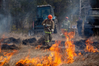 Особый противопожарный режим могут ввести на территории Новосибирской области