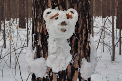 Прогноз погоды на 24-27 марта в Новосибирске сделали синоптики