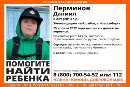 Восьмилетний Даниил пропал 15 апреля в Железнодорожном районе Новосибирска