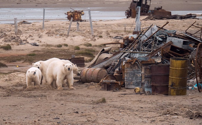 Операция «Моржовка» - как волонтеры очищают от мусора берег Ледовитого океана