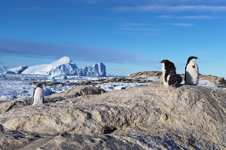 На антарктических станциях Мирный и Восток появилась мобильная связь
