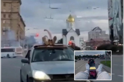 Блогер залез на крышу авто и запустил салют в центре Новосибирска