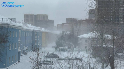 В Новосибирске прошла сильная метель