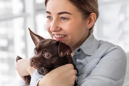 Авито Работа и Авито Услуги: в 2025 году спрос на зоонянь в Новосибирской области вырос на 61%