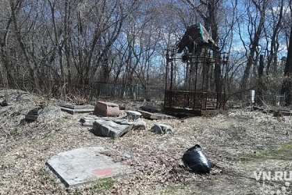 Семейные склепы на мистическом кладбище разграбили копатели
