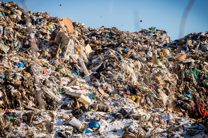 Суд постановил устранить семь стихийных свалок на Проточной Новосибирска