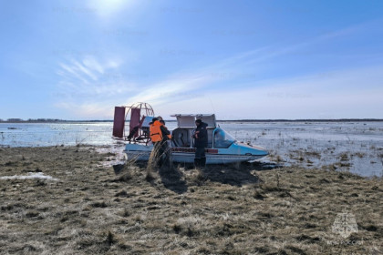 Дачным участкам на Ине под Новосибирском угрожает подтопление