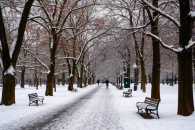 В Новосибирске на выходных прогнозируется похолодание до -34