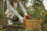 Инфекции под солнцем: как обезопасить себя на даче