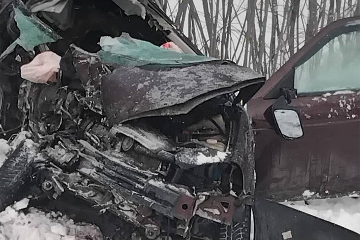 Три трупа: обстоятельства смертельного ДТП на трассе К-19 выясняют следователи