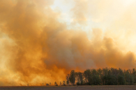 Пожарный мониторинг в Новосибирской области заработал в круглосуточном режиме
