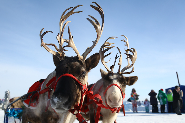 фестиваль иглу 2026 "Город Эскимосов", фото Алина Кухмарь