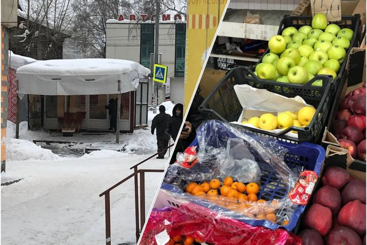 Яблоки из мусорных баков по 100 рублей стали продавать в Новосибирске