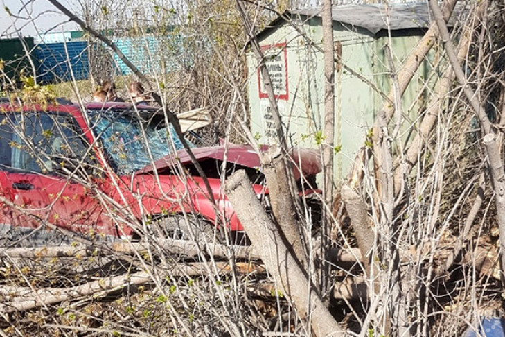 Грудного младенца не уберег пьяный водитель Subaru