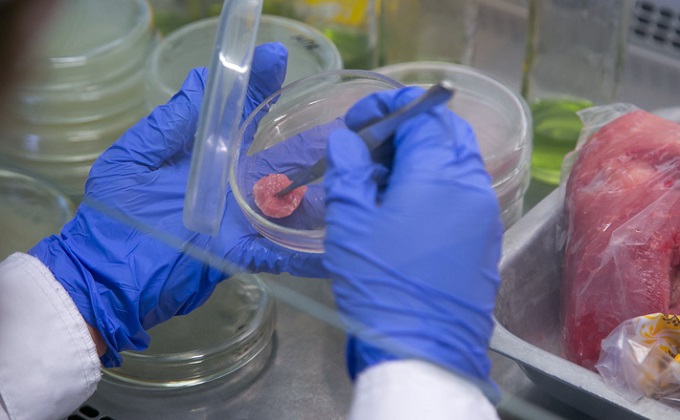 Ветеринарные лаборатории могут привлечь к тестированию на коронавирус