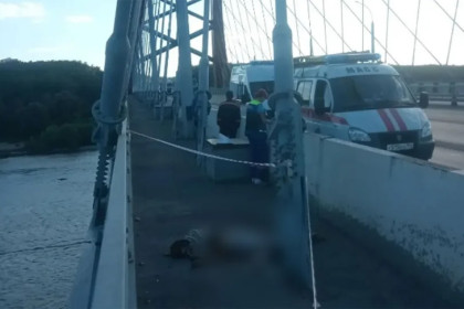 Трагедия на Бугринском мосту: мужчина погиб после падения с арки