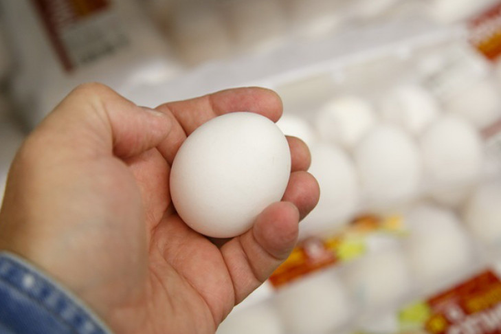 Били и бросали яйца эксперты, выясняя их прочность