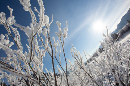 Прогноз погоды на зиму-2019 в Новосибирске: снега хватит на всех