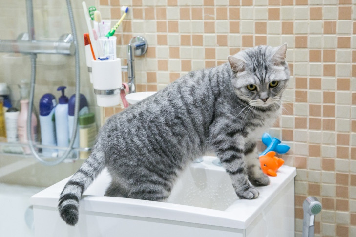 Восьмой этап гидравлических испытаний стартует с 1 июля в Новосибирске