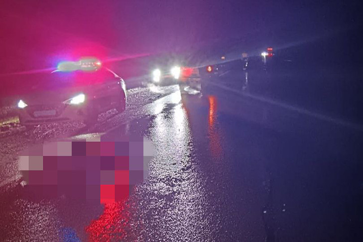 Полицейские объявили в розыск виновника смертельного ДТП под Новосибирском