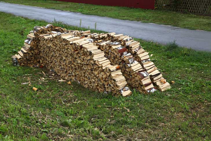 Уголовное дело на продавца березовых дров завели в Новосибирской области