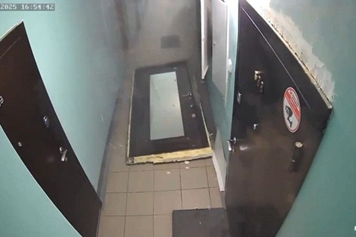 В Новосибирске собака взорвала квартиру и спряталась на балконе