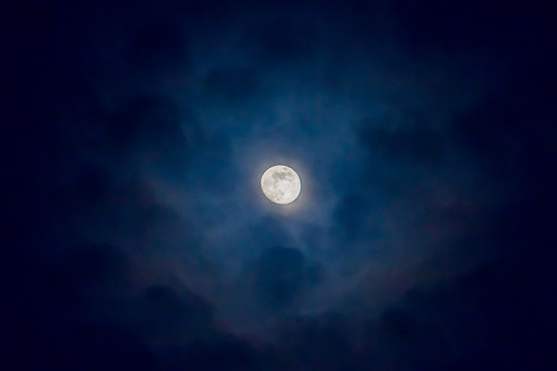 Вечернее небо Новосибирска украсят молодая Луна и две ярчайшие планеты