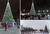 Ёлка из Новосибирской области борется за победу во всероссийском конкурсе