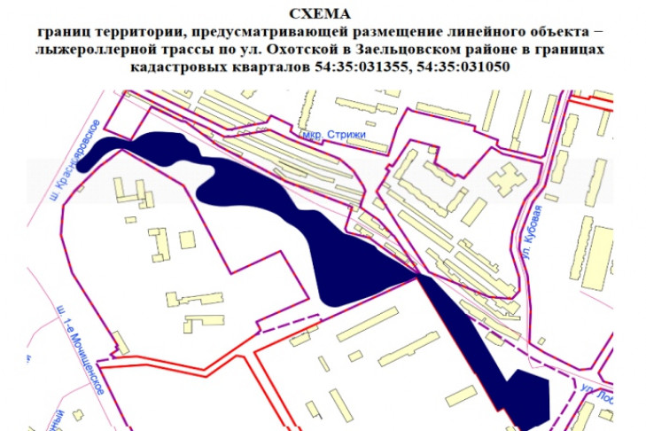 Лыжероллерную трассу построят в Заельцовском районе  Новосибирска