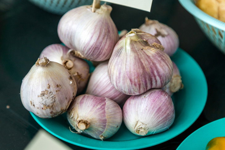 Когда убирать чеснок — верную примету назвала агроном Александрова
