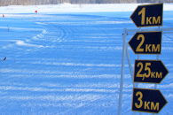 Открытое первенство по лыжным гонкам в Татарске перенесли из-за погоды