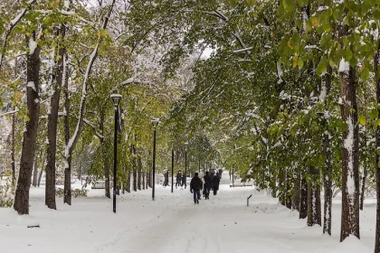 Андрей Травников потребовал улучшить содержание новых парков и скверов в регионе