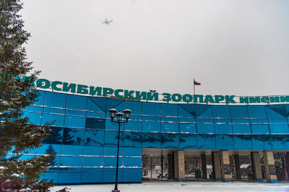 График работы зоопарка в Новосибирске обновлён с 30 марта