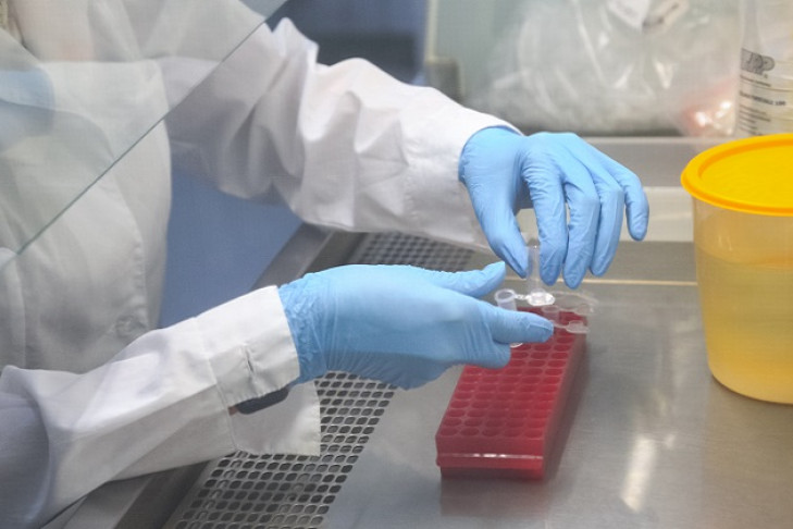 Новосибирцы расхватали бесплатное тестирование на антитела к covid-19 – отбор приостановлен