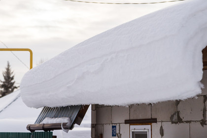 Способы сохранить здоровье в злые морозы назвали новосибирцам