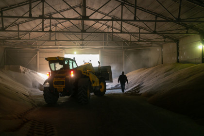 Снизилась цена продажи зерна из Новосибирской области
