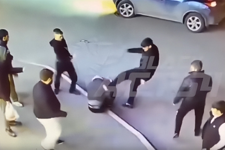 Расследование драки в ЖК «Матрёшкин двор» взял на контроль Бастрыкин