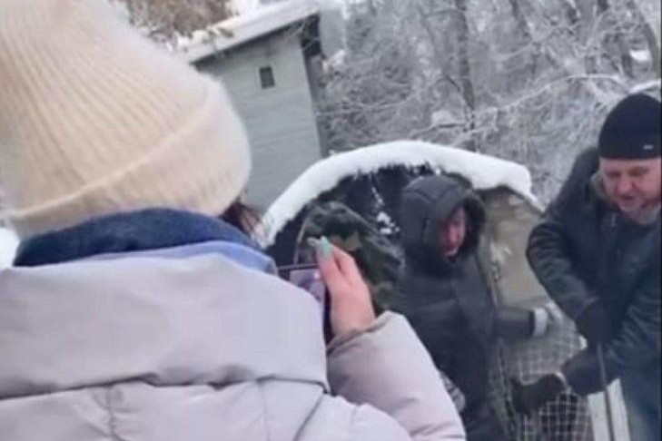 Уголовное дело на владельца холодного парника с собаками завели в Новосибирске