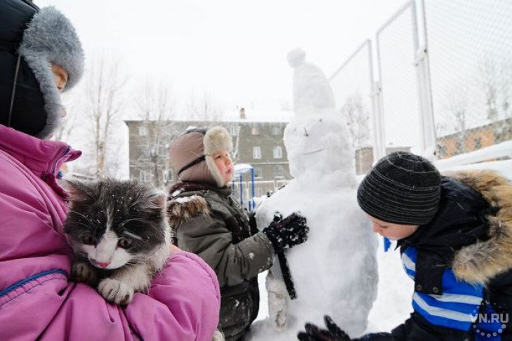 Снегопад века обрушился на Новосибирск 16 января
