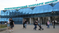 Новосибирский зоопарк изменил график работы 16 мая