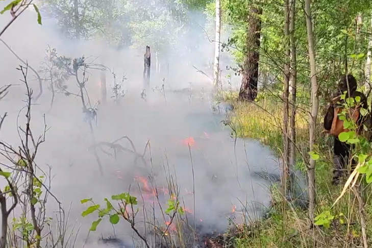 Загорелся Караканский бор в Новосибирской области